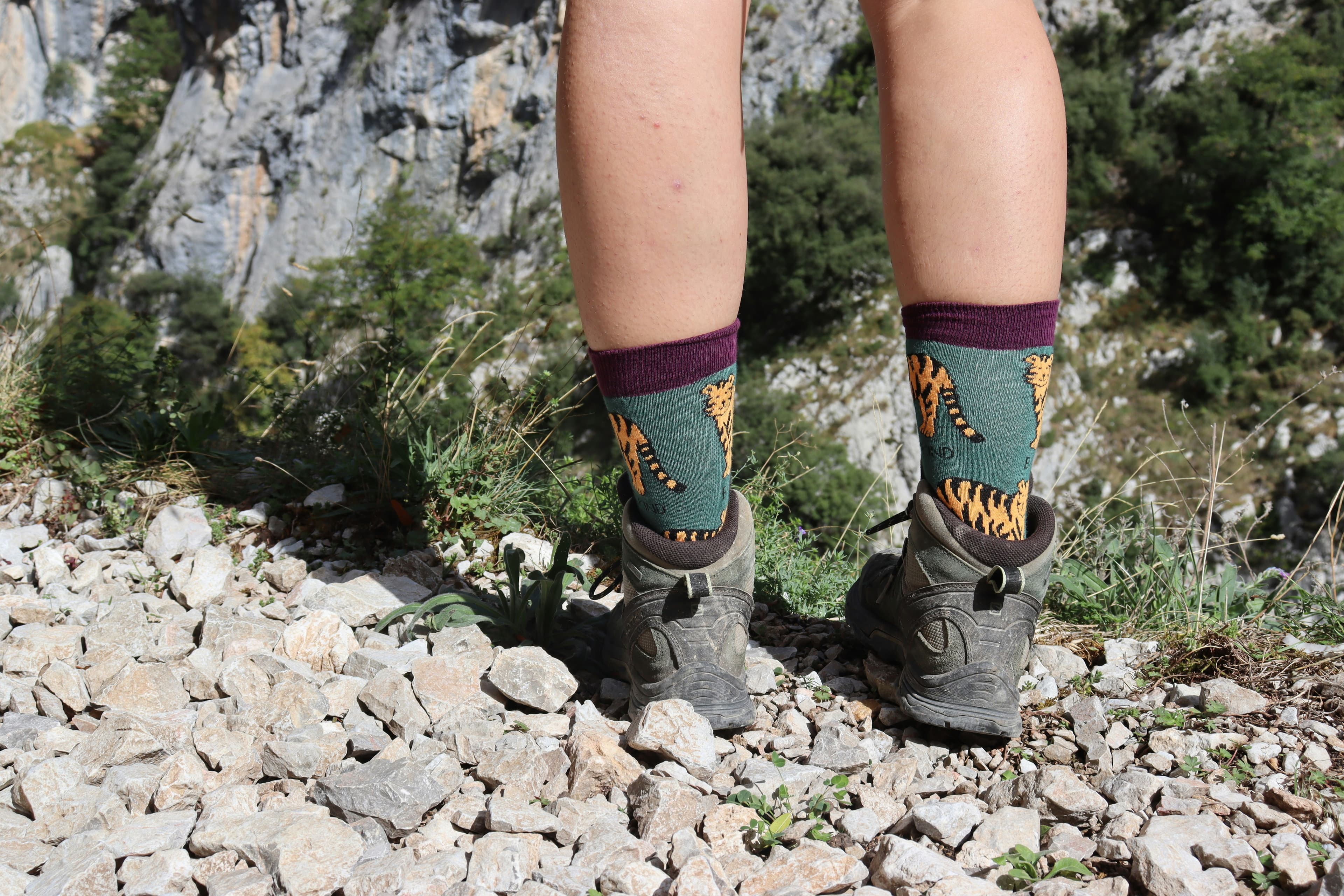 Field Notes: Above the Clouds