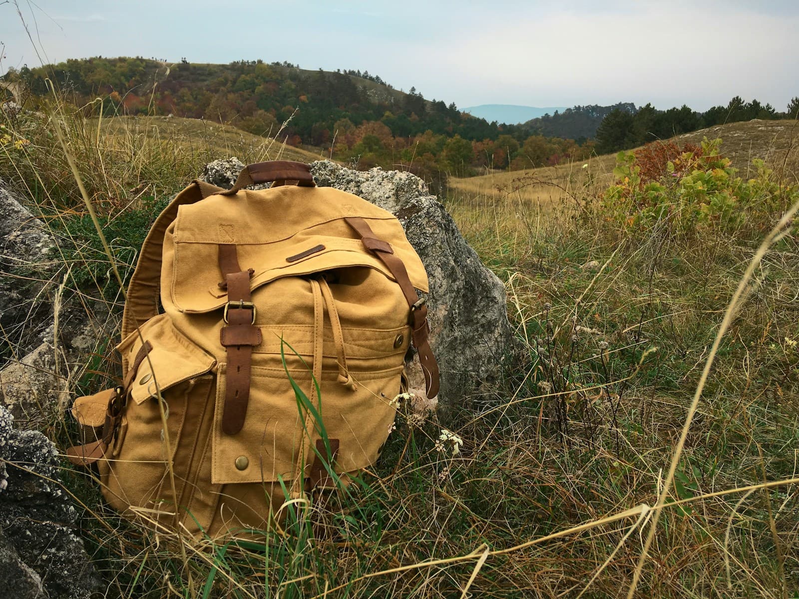 Canvas Rucksack — Ochre